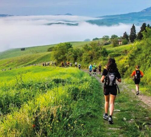 Trekking In Val D Orcia La Riserva Di Lucciolabella Valdorcia