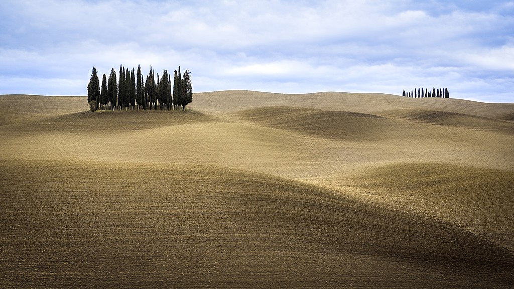 Bosco di cipressi di San Quirico d'Orcia Valdorcia