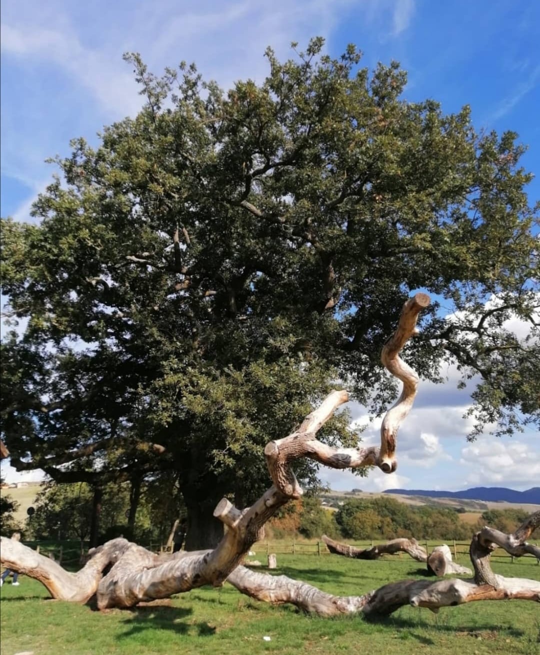 WhatsApp Image 2021-12-22 at 17.11.13