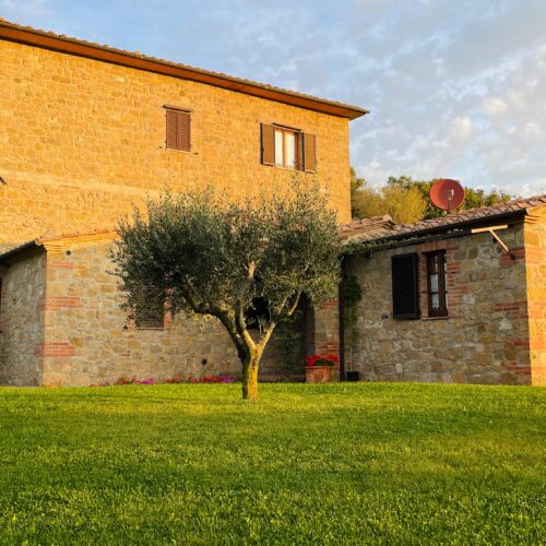 WhatsApp Image 2026-01-10 at 09.16.49 (1)